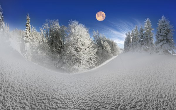Зимняя природа