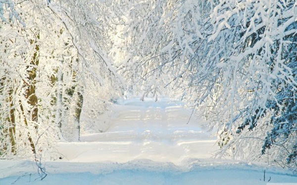 Белоснежная зима
