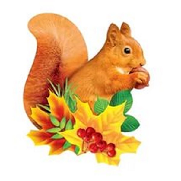 Осенняя белка для детей