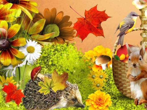 Баннер осень для детского