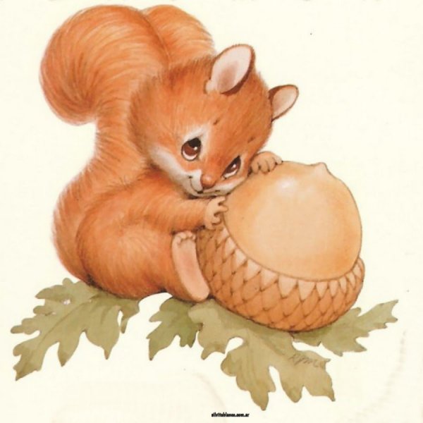 Белочка с орешками