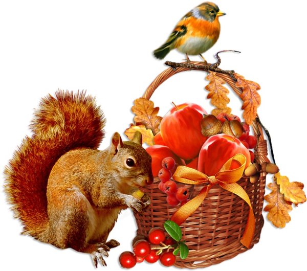 Белочка с корзинкой