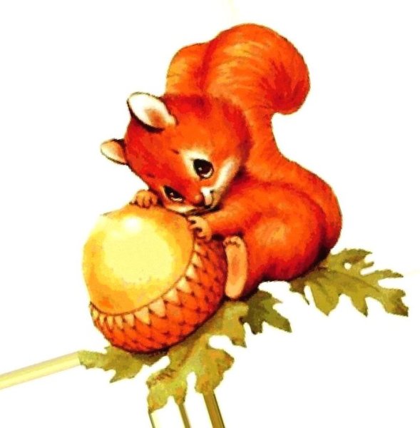 Белочка рисунок