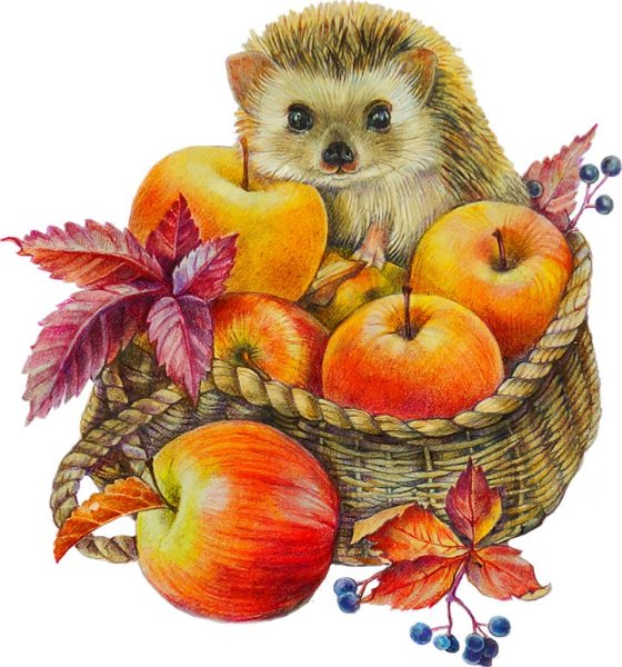 Животные осенью