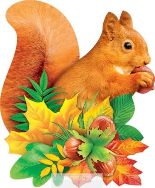 Белка для детского сада