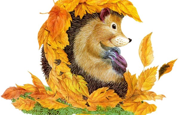 Ежик с листочками