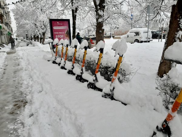 Самокат для снега первый снег