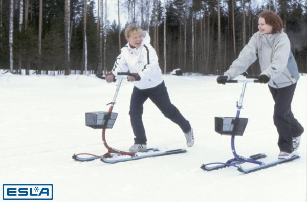 Зимние средства передвижения