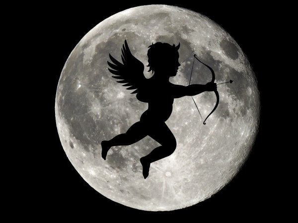 Луна силуэт