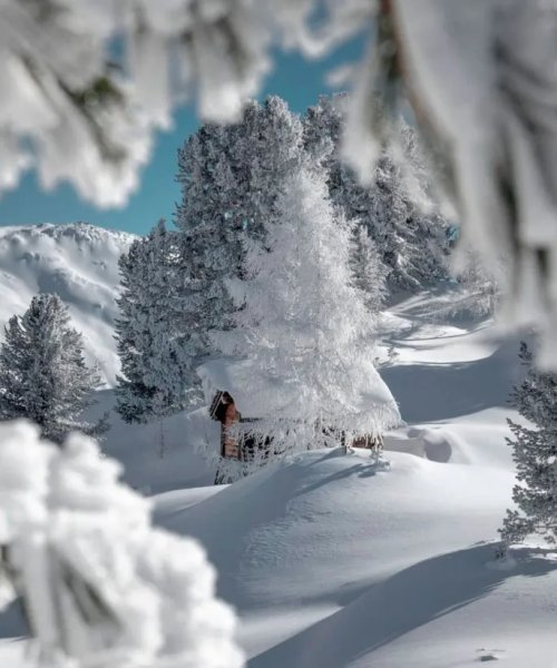 Снежная зима