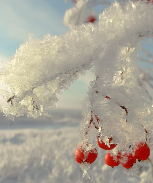 Зима это сказка красивая белая