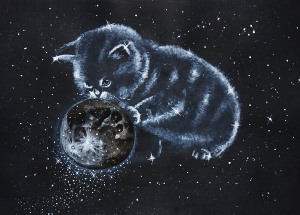 Лунные коты