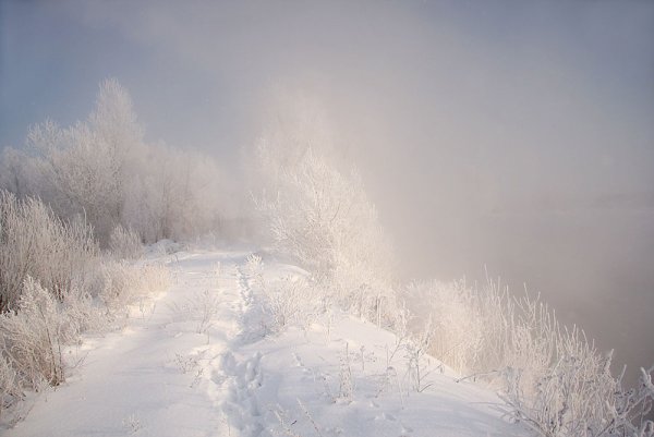 Морозный туман