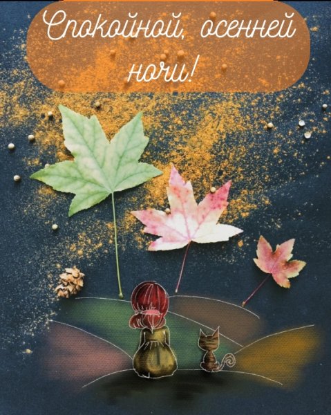 Доброй осенней ночи