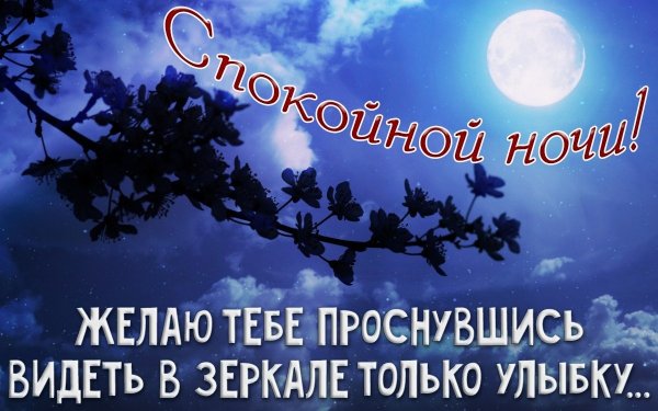 Спокойной весенней ночи с пожеланиями