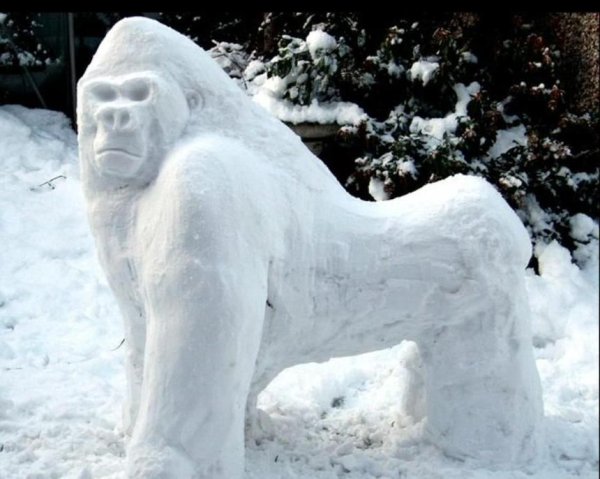 Обезьяна из снега