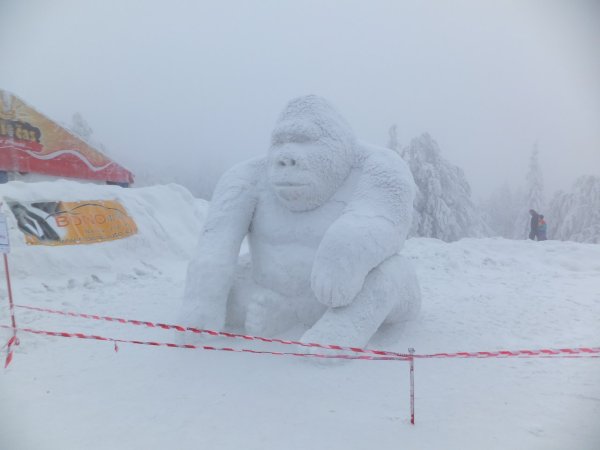Обезьяна из снега