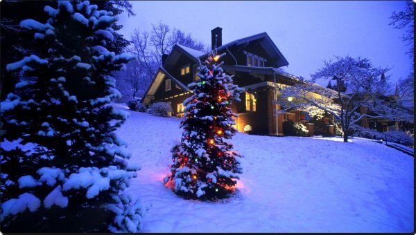 Зима за городом