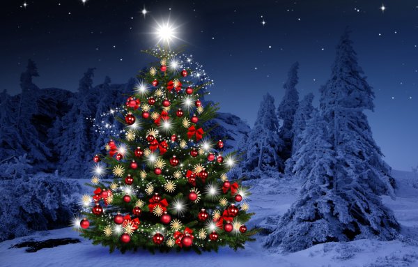 В новогоднем лесу