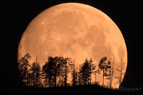 Полная Луна