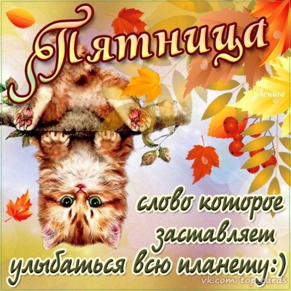 С добрым осенним утром пят