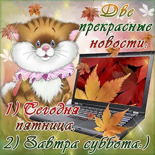 Открытки доброе утро пятница