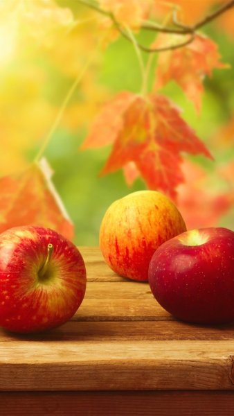 Заставки на телефон осень красивые