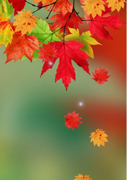 Осень на телефон вертикальные