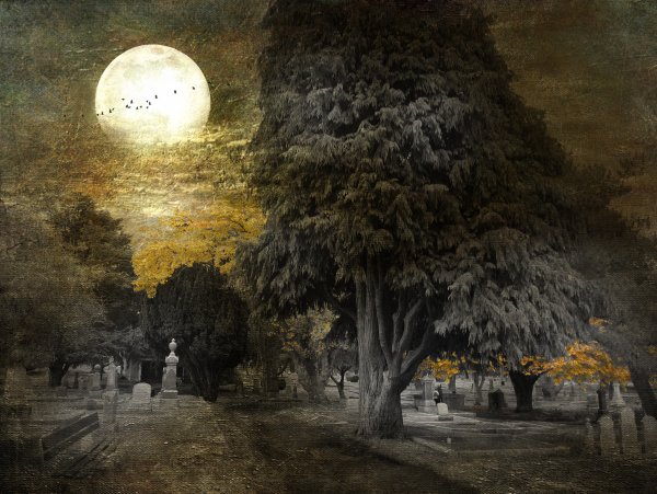 Лунная ночь осенью