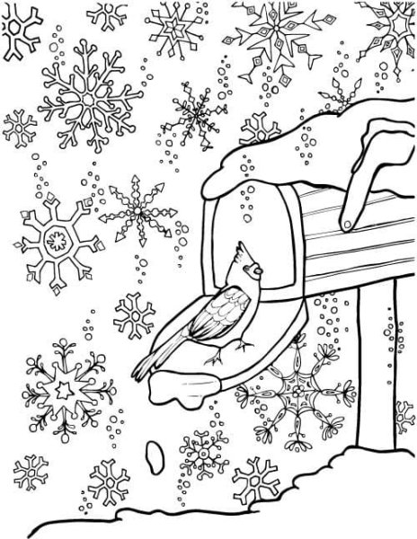 Раскраска февраль