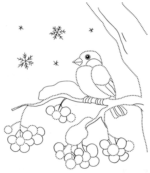 Снегирь раскраска для детей