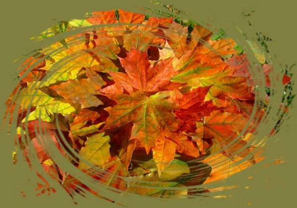 Танец осенних листьев