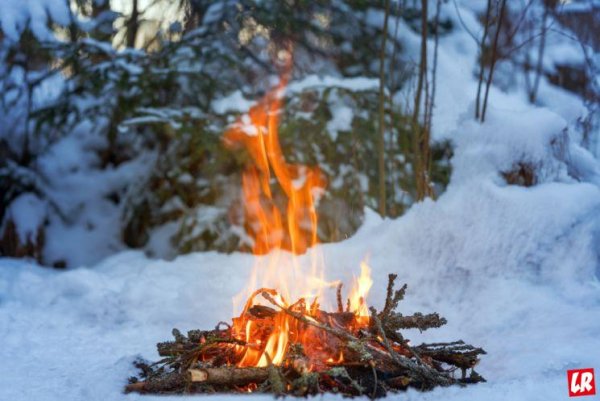 Зима лес костер