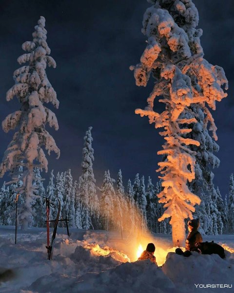 Костер зимой в лесу