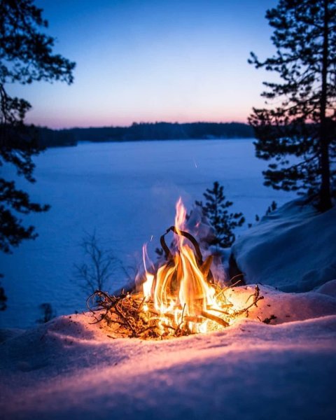 Костер зимой в лесу