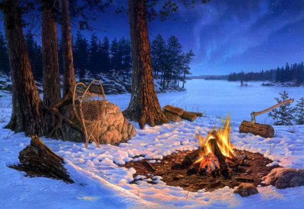 Даррел Буш Darrell Bush американский художник