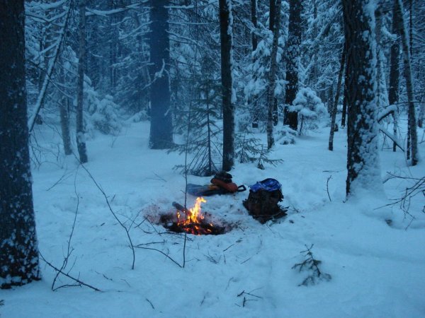 Поход зимой в лес