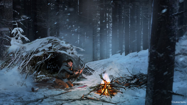 Tomb Raider зимний лес