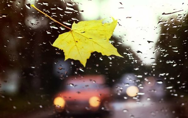 Автомобиль осень дождь