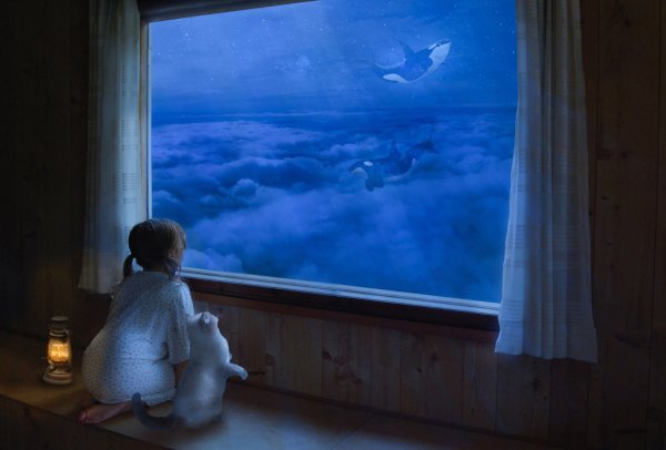 Звездное небо в окне