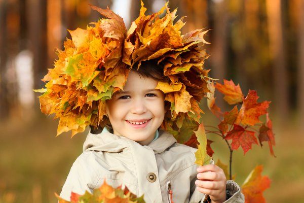 Листья для детей