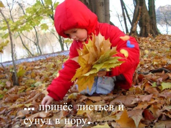 Дети собирают листья