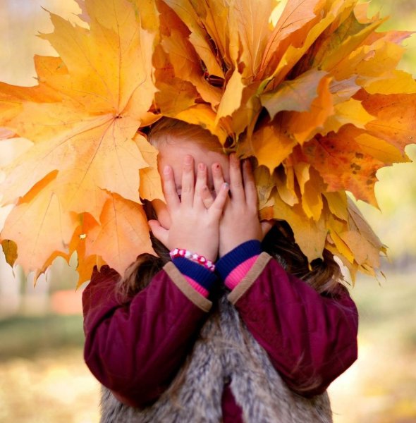 Осень дети радость