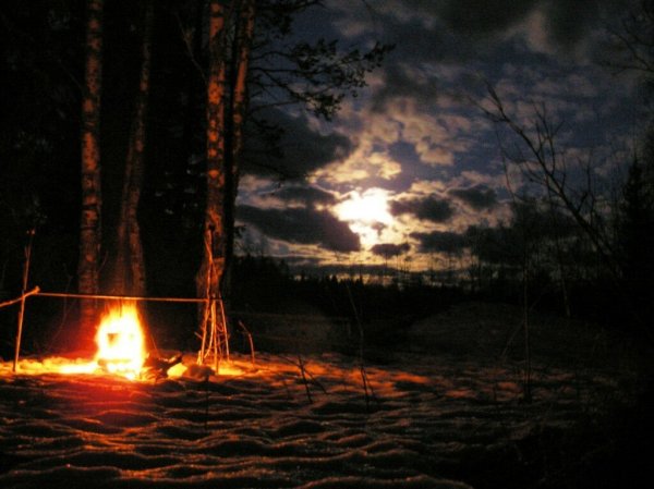 Ночной костер в лесу