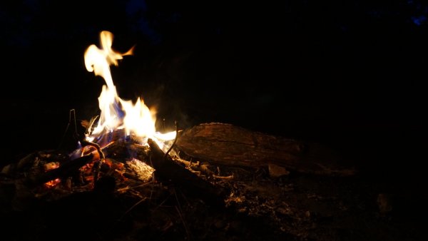 Костер в лесу