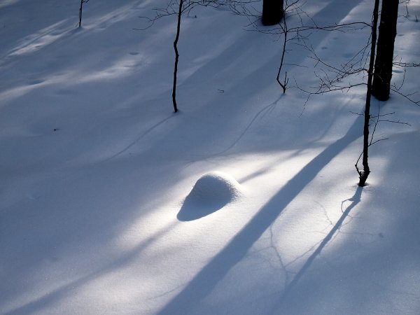 Снежная тень
