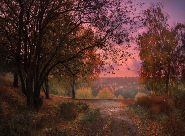 Ф.И.Тютчева "осенний вечер"