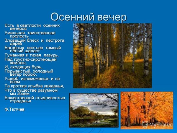 Стих есть в светлости осенних вечеров