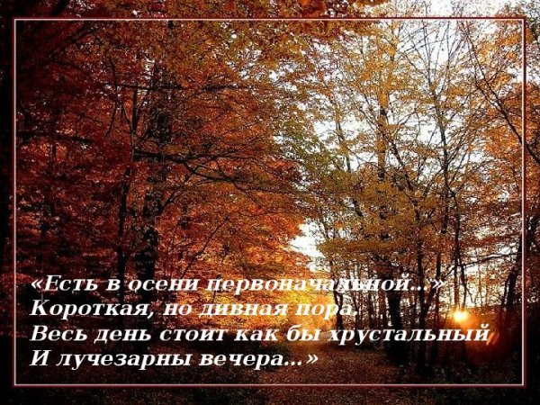 Стихотворение про конец осени