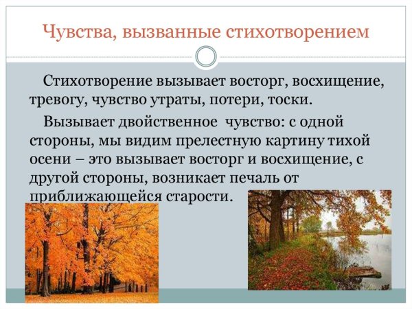 Анализ стихотворения осенний вечер